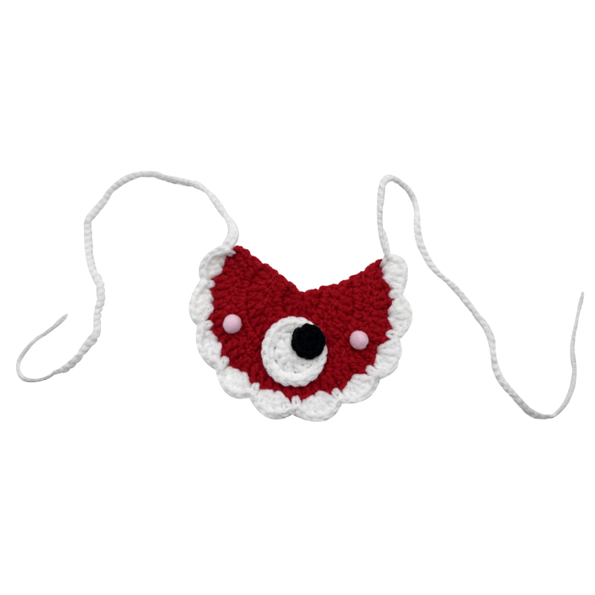 Pet bib