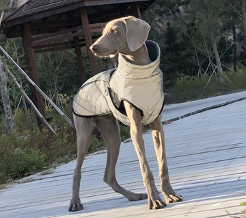 (Full body reflective) Silver Jacket