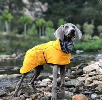 Pile collar jacket