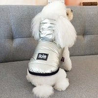 Shiny vest