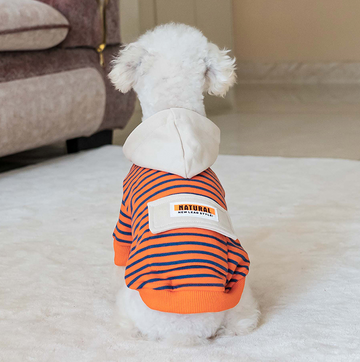 Orange striped sweatshirt