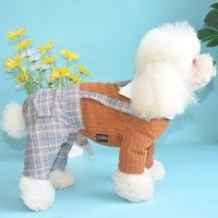 Gentleman's four-leg autumn outfit