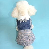 Gentleman's four-leg autumn outfit