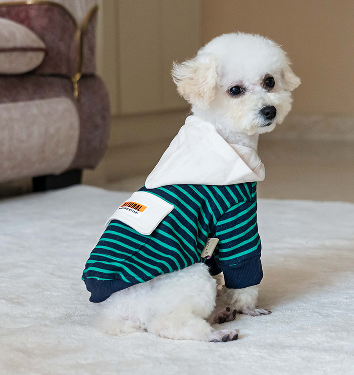 Orange striped sweatshirt