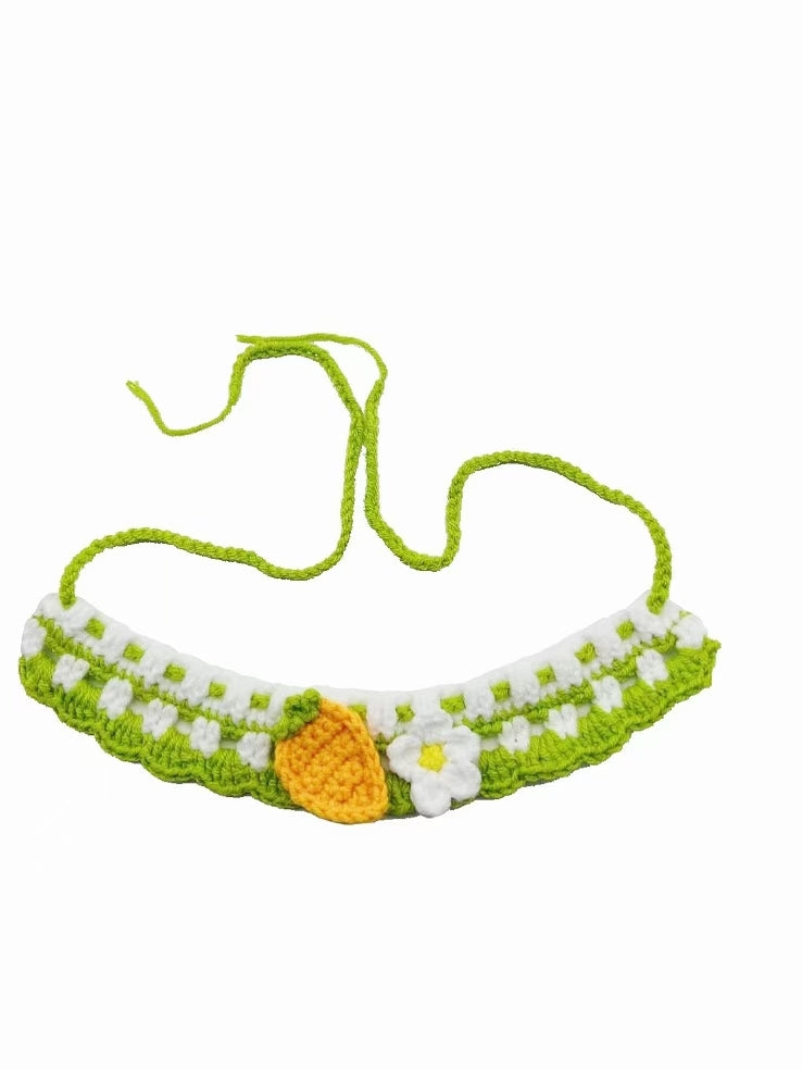 Pet bib