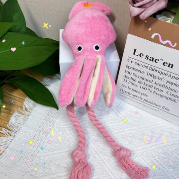 Octopus
