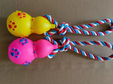 Rope hoist