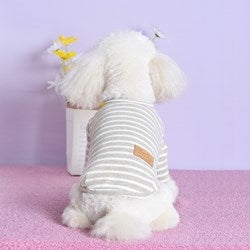 Seoul cotton bottoming shirt