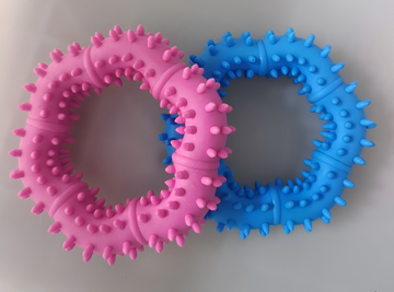 Coronule