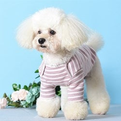 Seoul cotton bottoming shirt