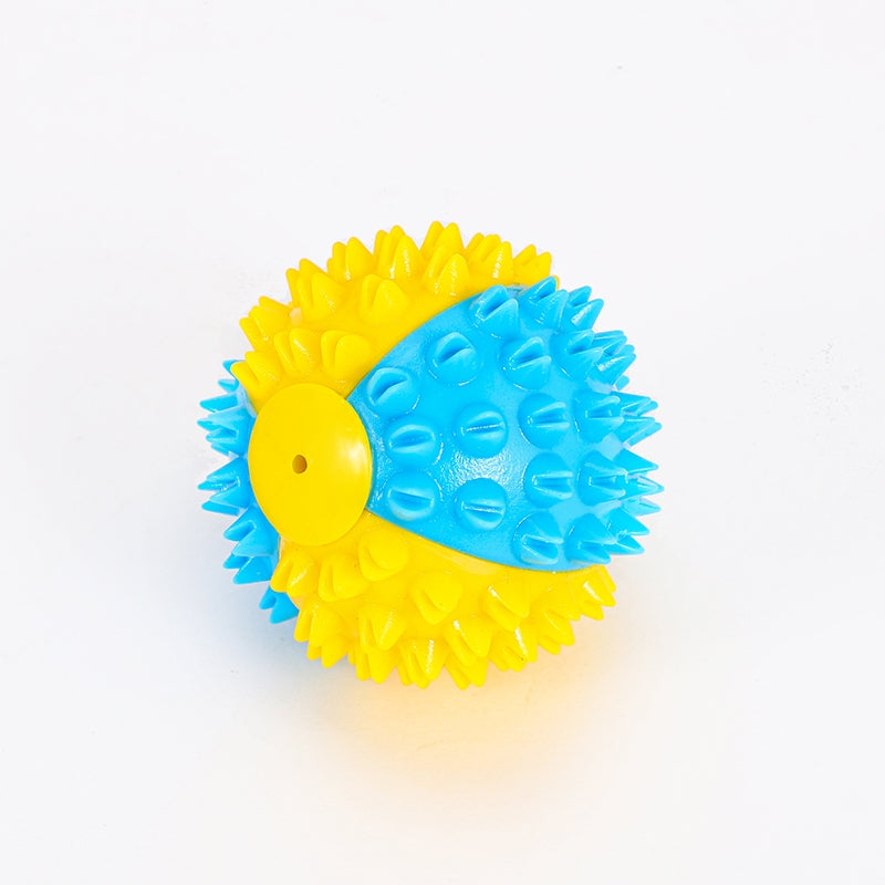 Cleaning teeth, making a sound to tease the cat, playing ball with it