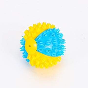 Cleaning teeth, making a sound to tease the cat, playing ball with it