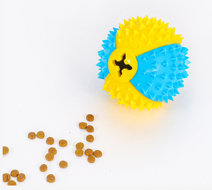Cleaning teeth, missing meals, playing with cats, ball game